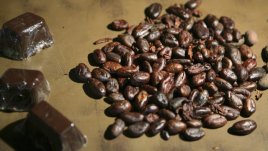 За какво са полезни какаовите зърна?