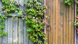 Притча за истината