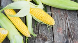 Впечатляващи здравословни ползи от царевицата 