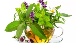 6 билки при стомашни неразположения