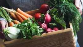 Ползи за здравето от зимните зеленчуци 