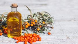 Малко познатото масло от зърнастец – защо е полезно за кожата