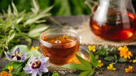 Мощни билки против рак