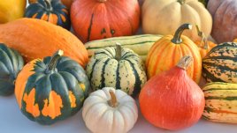 Тиква – защо заслужава специално място на трапезата тази есен