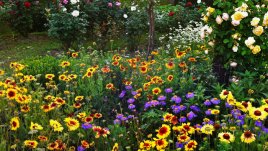 Първа помощ при редица здравословни проблеми