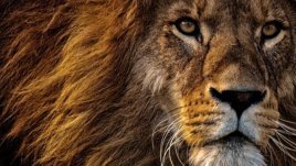 Мисъл на деня за... истината