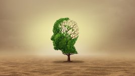 7 съвета да поддържате мозъка в кондиция