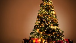 Кой е най-издръжливият вид коледно дръвче?