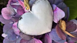 Мисъл на деня за... омразата