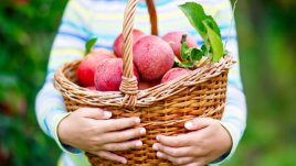 4 храни, които правят децата по-умни