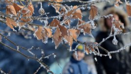 Предложения за почивните дни &ndash; 14 и 15 януари