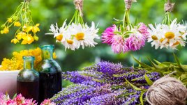 Еликсир за младост и здраве