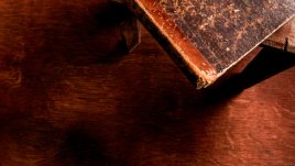 Индианска мъдрост на деня