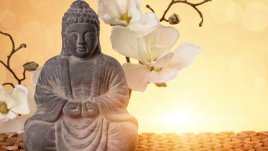 Мисъл на деня