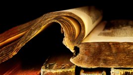 Мъдрост на деня от Петър Дънов