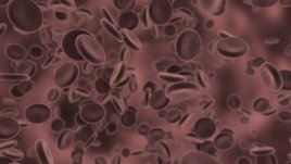 Няколко начина да поддържаме добри нива на холестерола