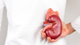 Тревожни симптоми на бъбречни увреждания