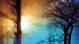 „Синята зона“ – Ч. Дж. Бокс