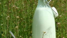 Сиренето от 8 и от 15 лв. еднакво