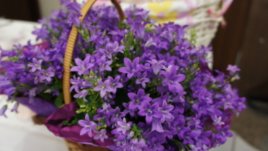 10-ият рожден ден на Az-jenata.bg премина с усмивки, цветя и здравословна храна