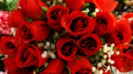 Честит 8-и март, дами!