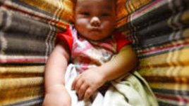 Щъркелът не носи само бебета