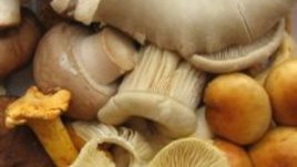 Лесна салатка с пиле и гъби