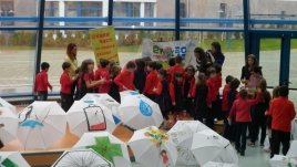 Екологично образование е необходимо в детските градини и училищата