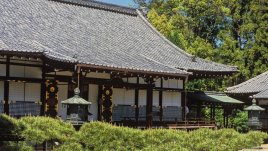 Мисъл на деня