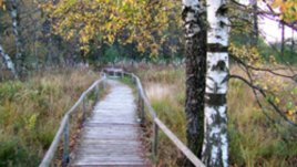 Случката с „бедното дете“