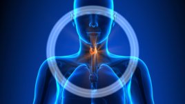 По-добра функция на щитовидната жлеза при хипотиреоидизъм