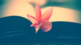 Мисъл на деня от баба Ванга