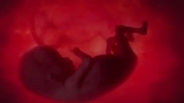 Видео на седмицата: Раждането на нов живот