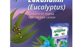 Как да съхраняваме билките в дома си
