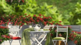 Посрещнете пролетта в дома си!