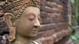 Будистка мъдрост на деня