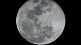 Лунна диета – септември 2011