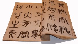 Мисъл на деня