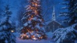 Да подарим живот по Коледа