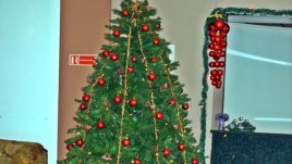 Естествената елха – по-дълго свежа и красива