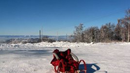 Какви подаръци очакват децата на Коледа