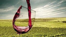 Какво не знаете за виното?