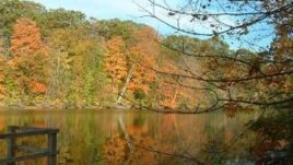 Красотата на листопада и красотата отвътре