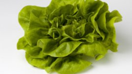 Най-опасните храни са марули, яйца и риба