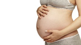 Секциото и алергиите – каква е връзката?