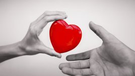 Погрешни разбирания за сърдечносъдовите заболявания