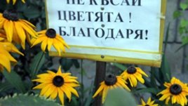 Спасете цветята в градските градини