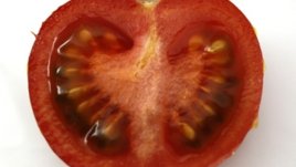 Бърза домашна козметика за сухи колена и лакти