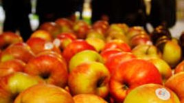 6 начина за успокояване на болка без хапче