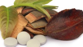 10 ползи от билката антиоксидант терминалия арджуна